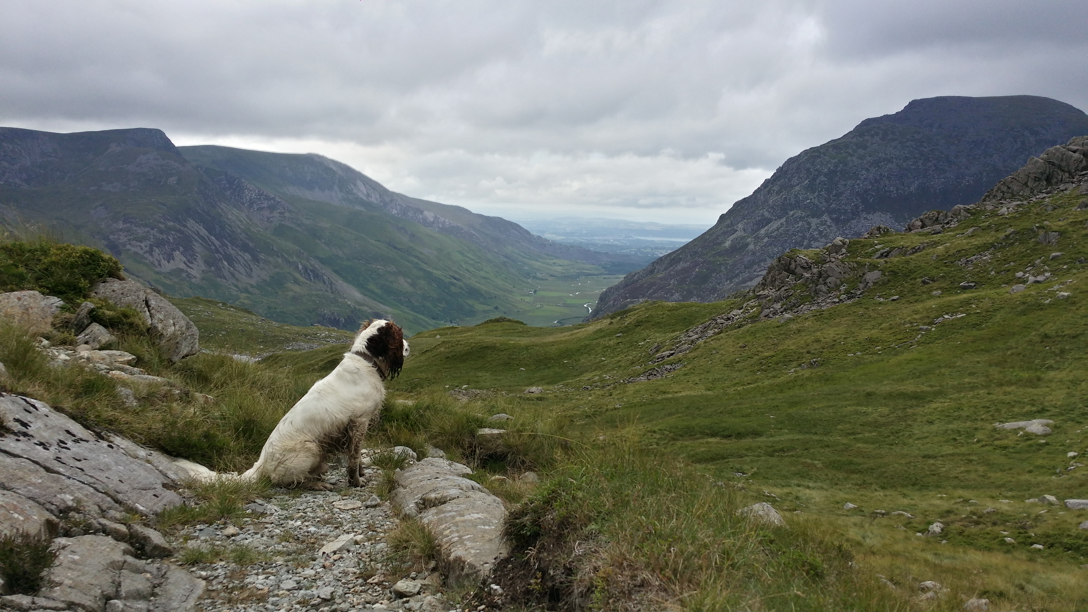 Our top 5 dog walks in North Wales- | Beautiful North Wales| Beautiful