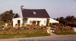 The Cottage at Erw Deg