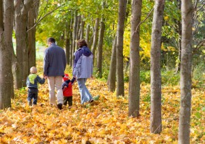 Things To Do in North Wales