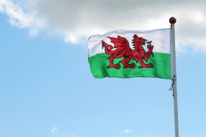 Wales Rally GB